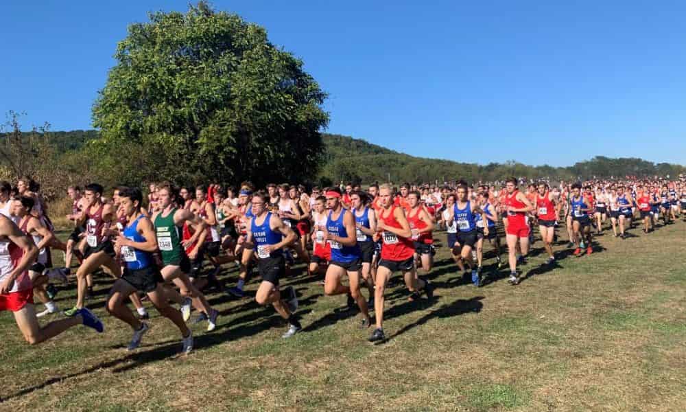 Paul Short Invitational 2024 Live Results Evie Oralee